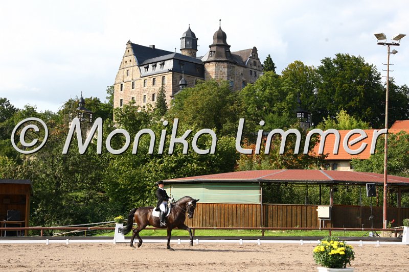 009M3150_Rubin_Dressur Sxx.JPG